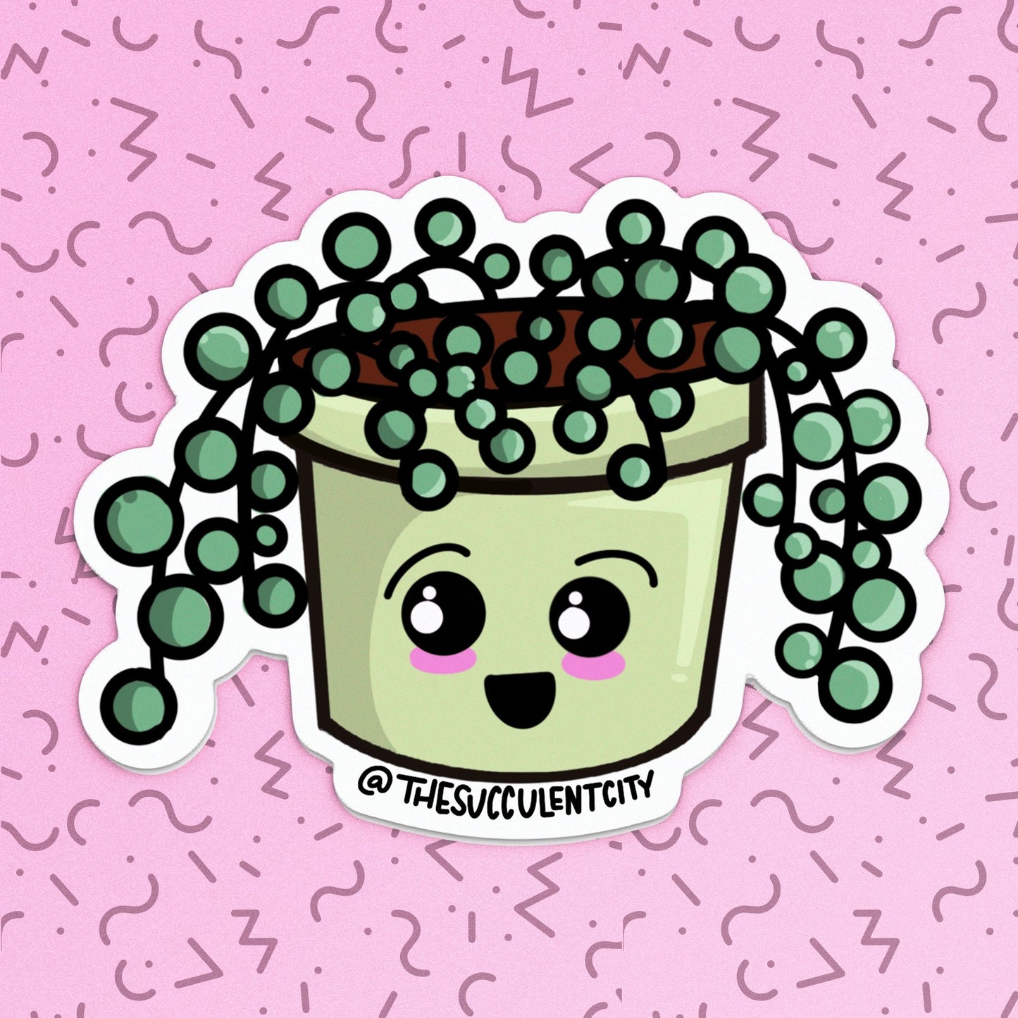String of Pearls - The Succulent City